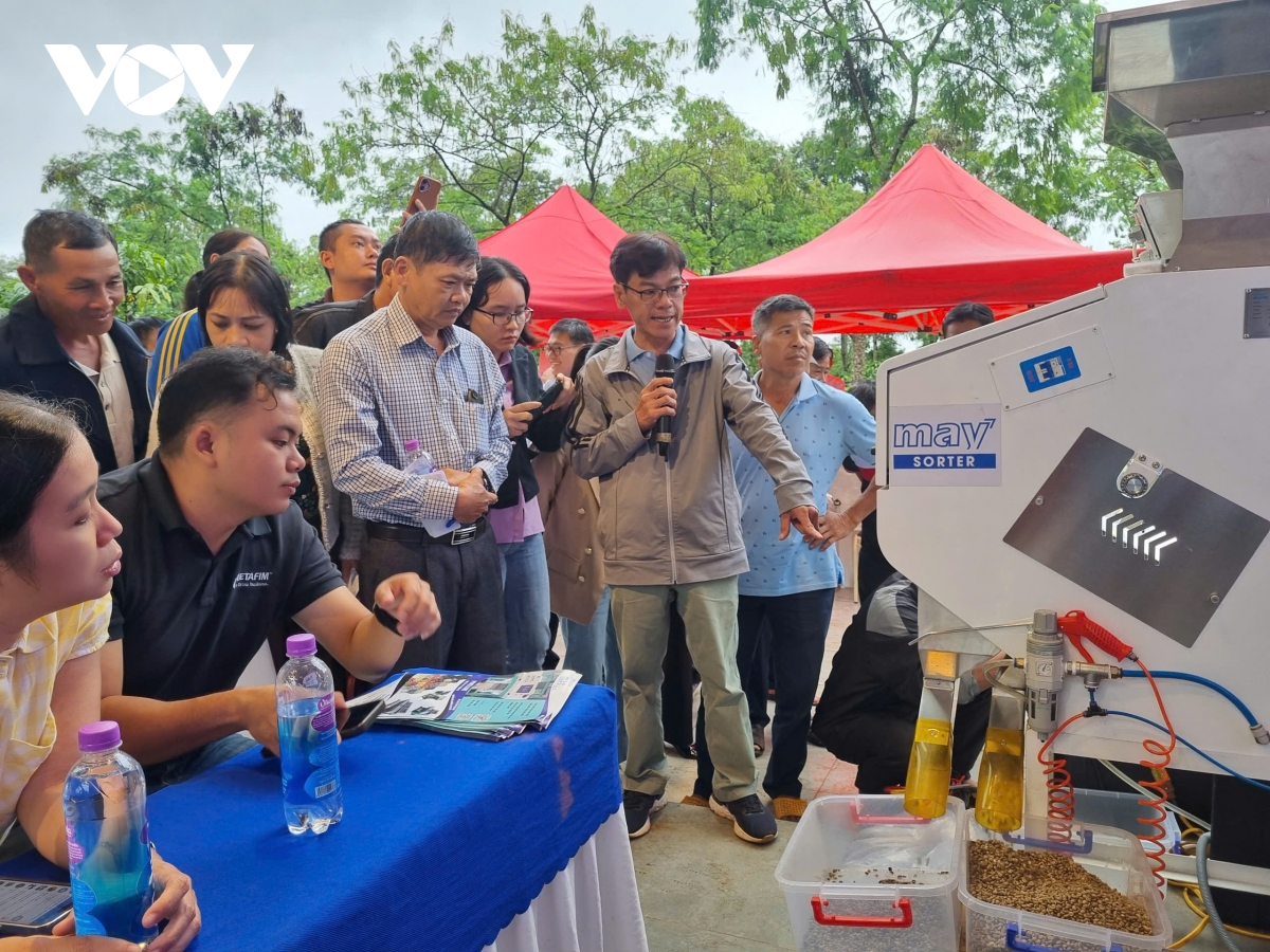 Giải pháp công nghệ và mô hình xen canh bền vững nâng giá trị cây trồng chủ lực Đắk Lắk